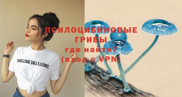 MDMA Горнозаводск