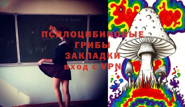 прущий лед Горно-Алтайск