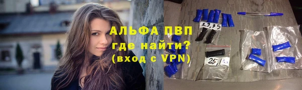 Альфа ПВП Горняк