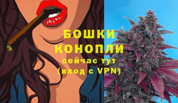 MDMA Горнозаводск