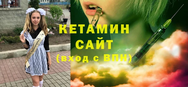 амф Тайга