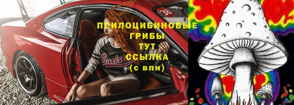 MDMA Горнозаводск