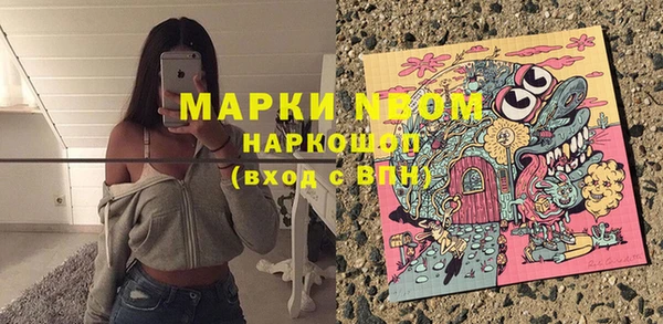 Альфа ПВП Горняк