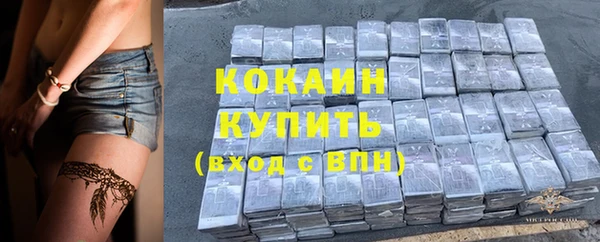 Альфа ПВП Горняк