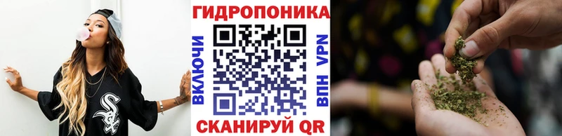 Шишки марихуана планчик  Невель 